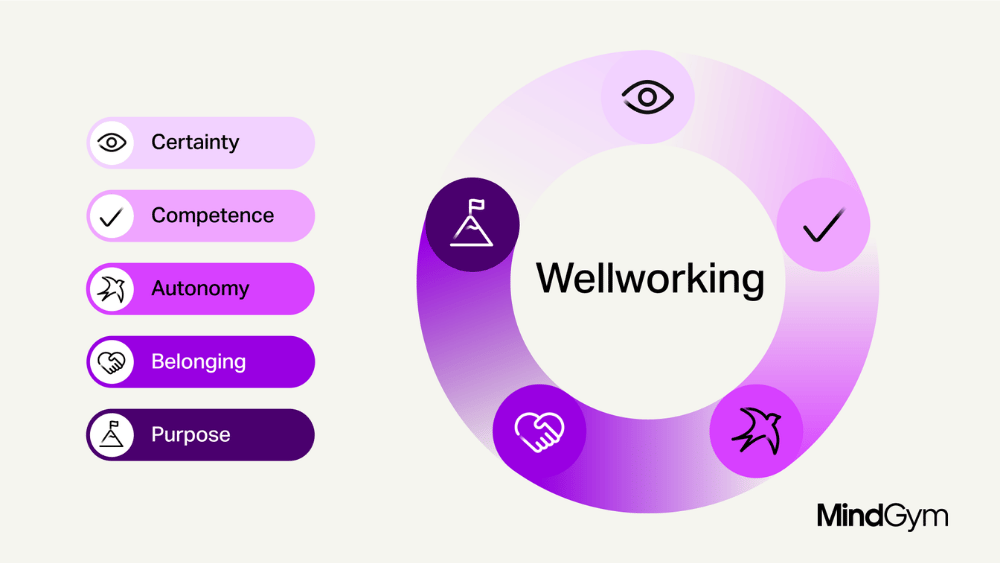 A diagram listing 'certainty', 'competence', 'autonomy', 'belonging' and 'purpose' along the left side and then the word 'wellworking' to the right surrounded by a circular line with five icons in it